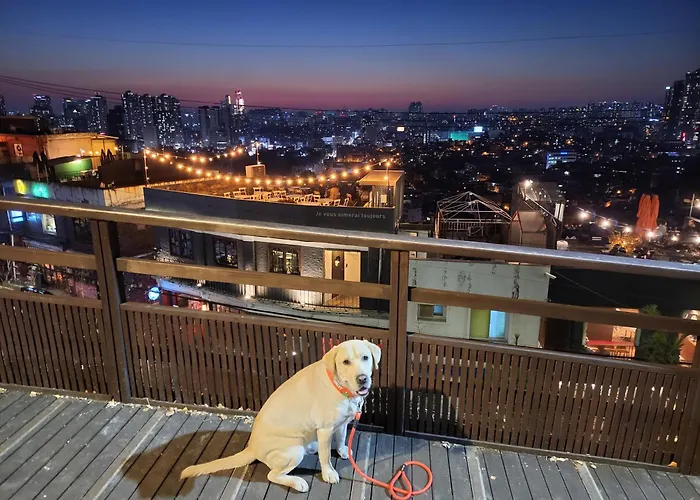 Cozy Private Newly Renovated #3 * 首爾